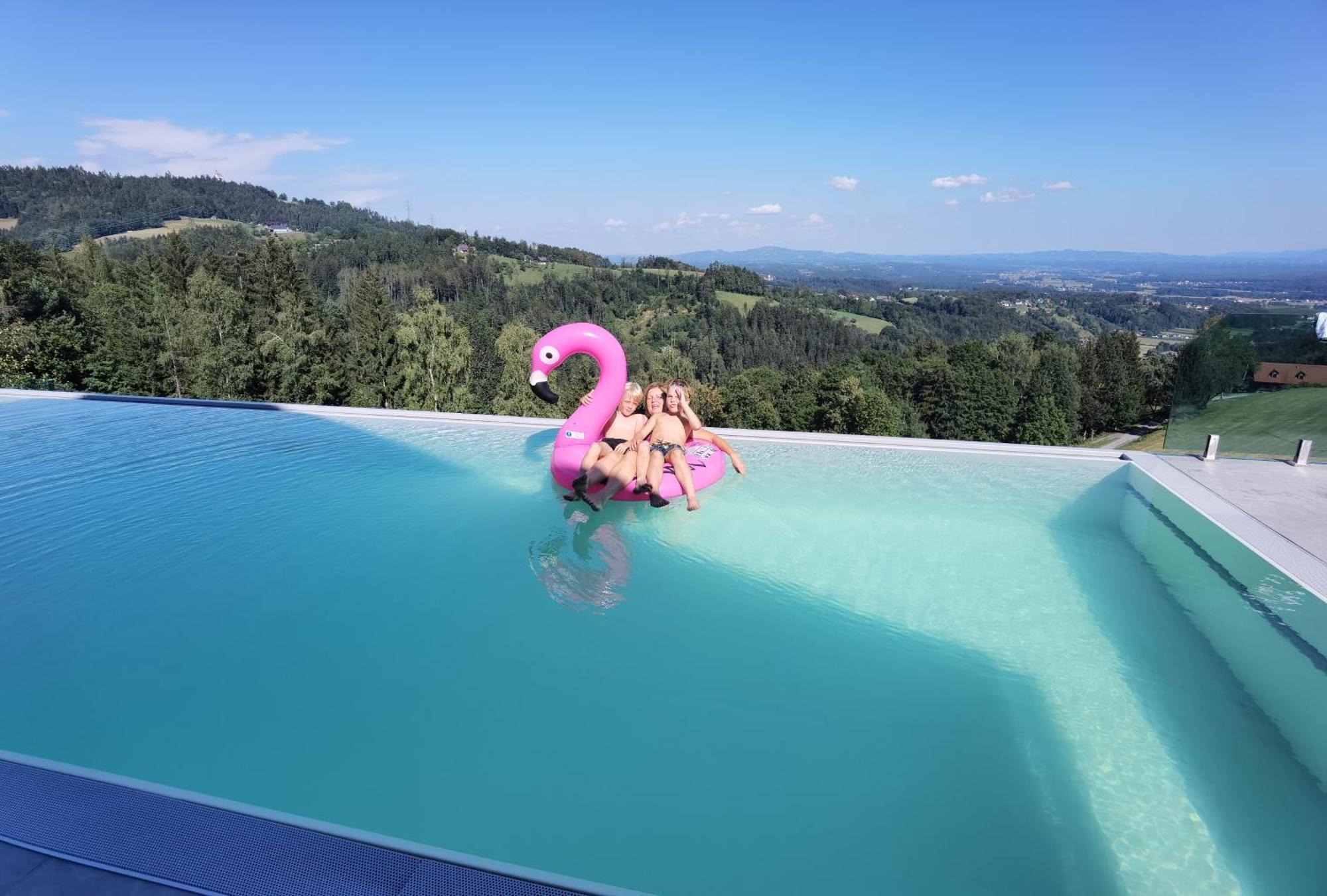 Chalet Südsteiermark: Alpine Luxury with Infinity Pool and Panoramic Views Schwanberg Exterior photo